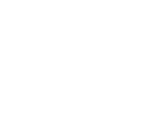 FASTFLUX.host